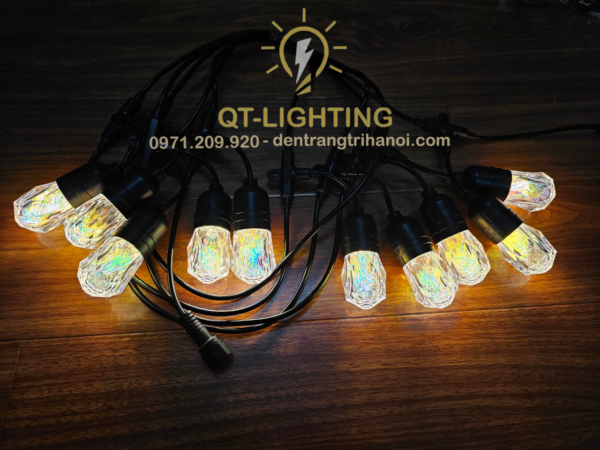Bộ đèn dây kèm bóng trang trí ngoài trời 5m 10 bóng
