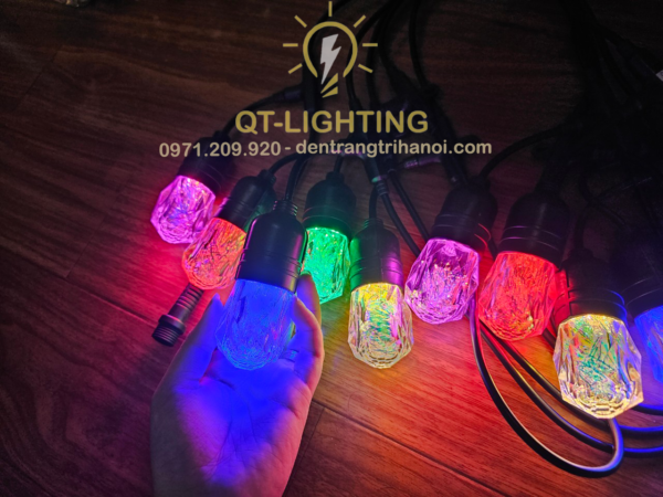 Bộ đèn dây kèm bóng trang trí ngoài trời 5m 10 bóng