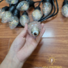 Bóng E27 chất liệu nhựa cao cấp hình quả dâu tây - QTlighting
