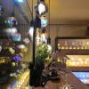 đèn thả kết hợp chậu cây - QTlighting