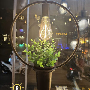 đèn thả kết hợp chậu cây - QTlighting